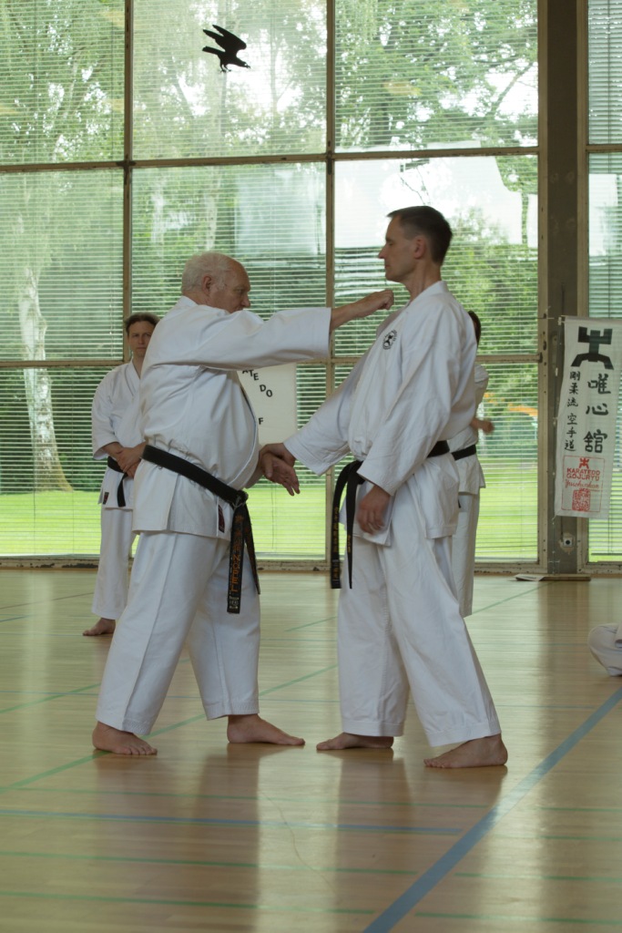 Hanshi_Fritz_Noepel: sen no sen 